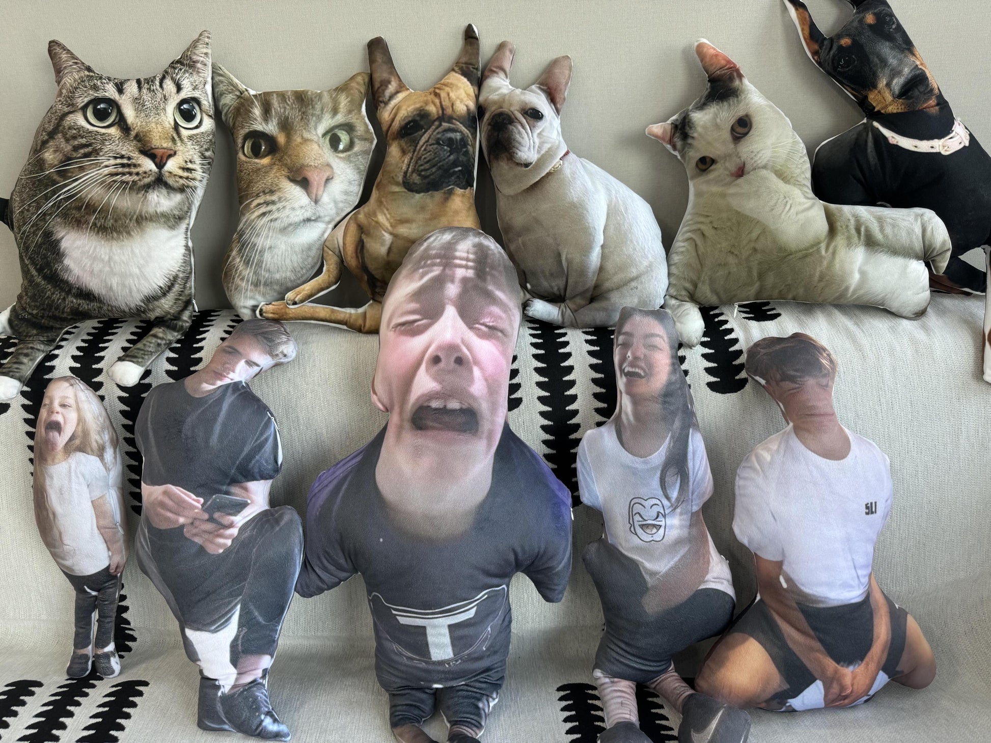 Ugly Pillow, Custom Ugly Pillow for Friend or Pet, Hot Ugly Cat, Pet Pillow, Gift for Friend, Christmas Gifts, Body Pillow, Custom Pillow